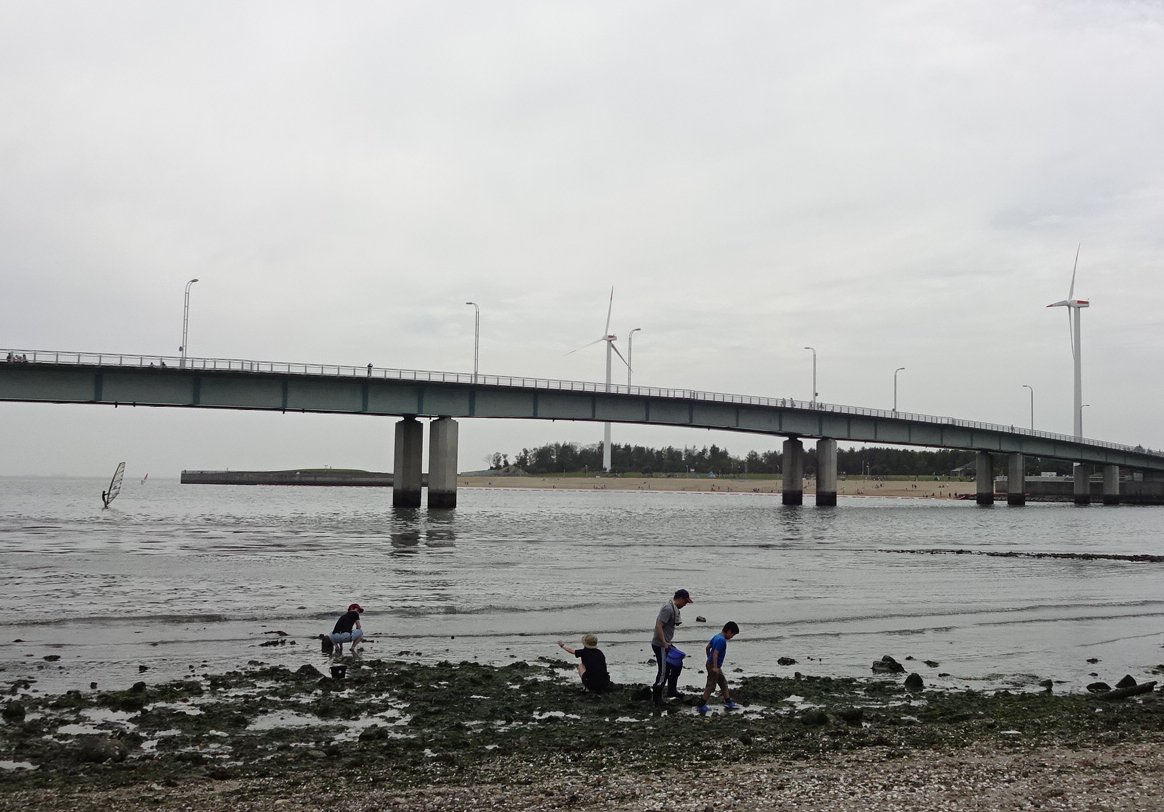 a0031000_10332073.jpg