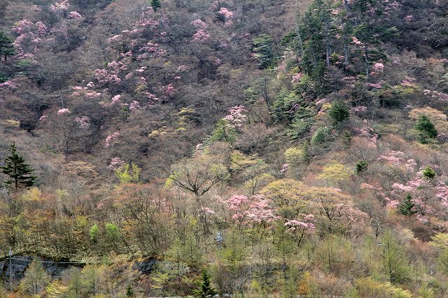 e0137200_21432948.jpg