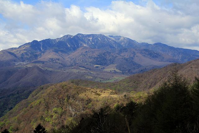 e0137200_2143872.jpg
