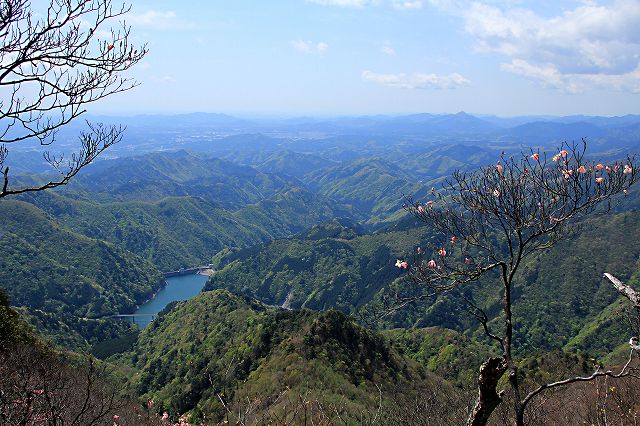 e0137200_21452981.jpg
