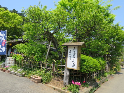 c0212604_1744610.jpg