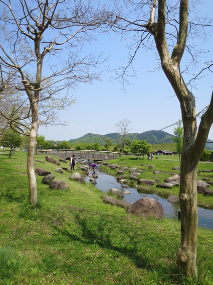 c0212604_17532146.jpg