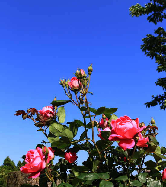 d0023807_18384173.jpg