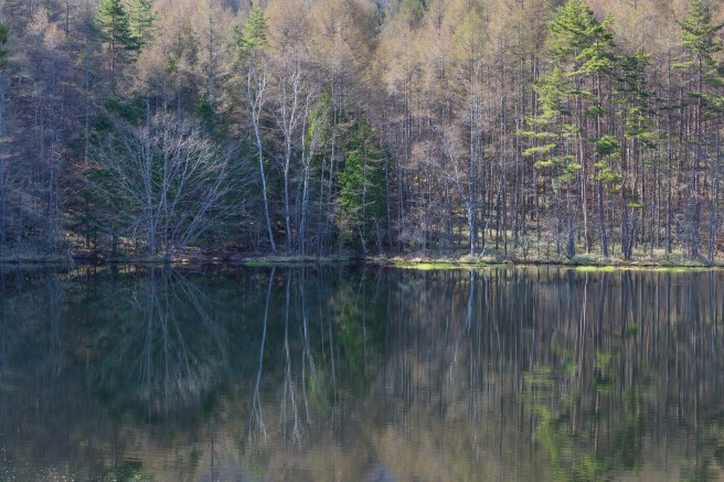 f0302208_22325179.jpg
