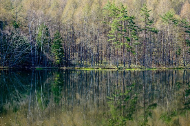 f0302208_22335156.jpg