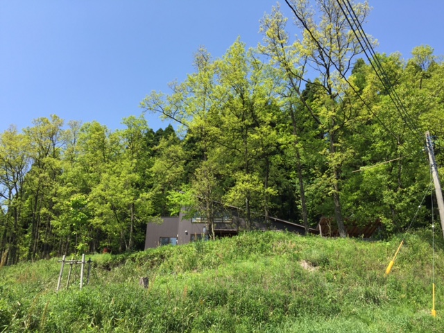 f0031420_1682831.jpg