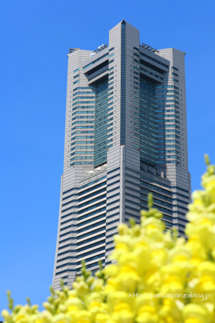 a0037322_14500879.jpg