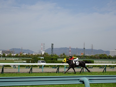 b0102728_1165660.jpg