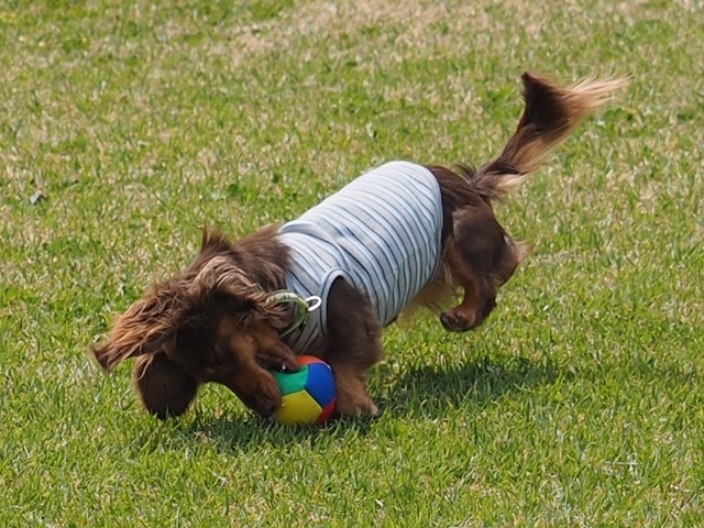 c0117831_222036.jpg
