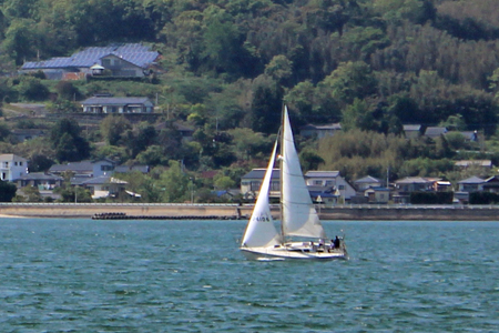 a0129233_16354361.jpg