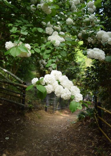 a0228333_22361000.jpg