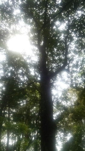 c0335540_14352945.jpg