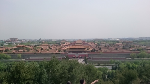 d0038545_21430575.jpg
