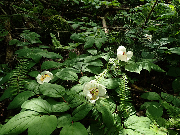 f0214649_21441515.jpg