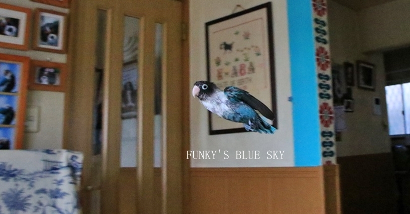 c0145250_09122750.jpg