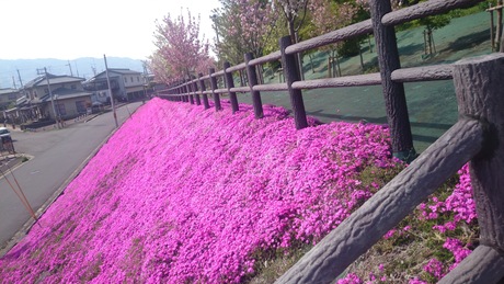 c0160455_1343826.jpg