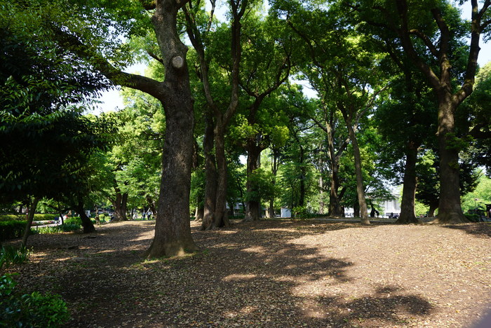 d0152261_22252973.jpg