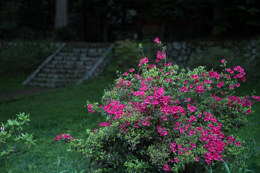 a0301676_14415325.jpg