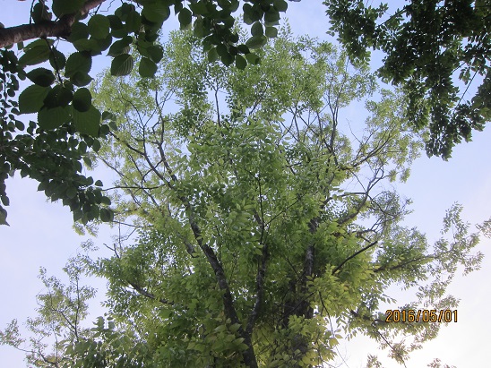 f0106692_1925174.jpg