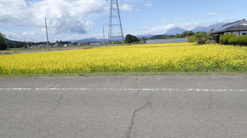 a0338094_07571323.jpg