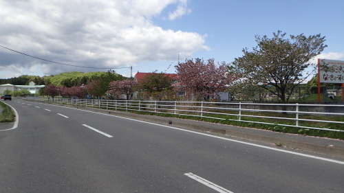 a0338094_08122492.jpg