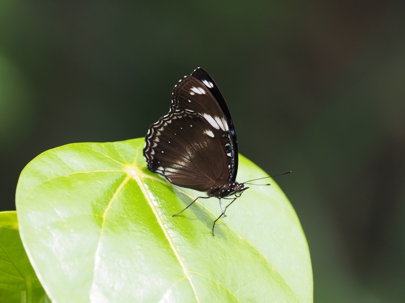 a0277496_18252050.jpg