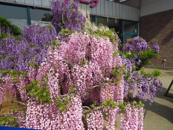 f0033598_16463314.jpg