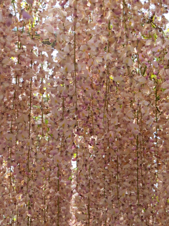 f0033598_1651919.jpg