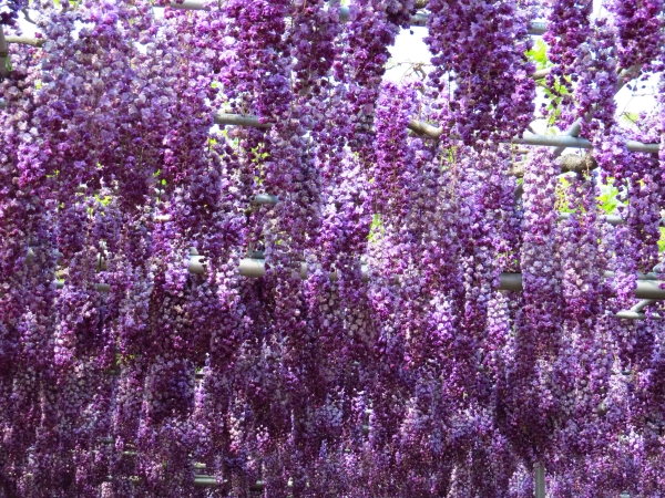 f0033598_16522568.jpg