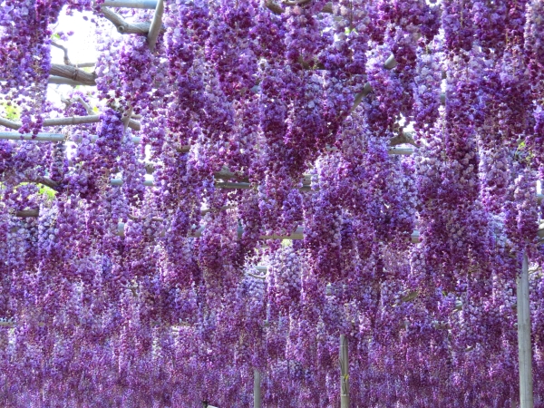 f0033598_1653050.jpg