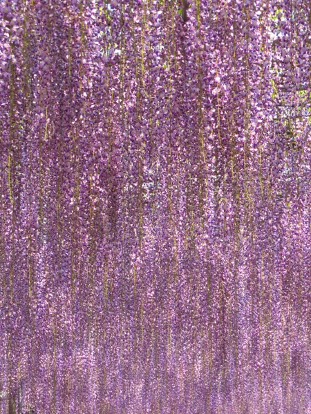 f0033598_1657268.jpg