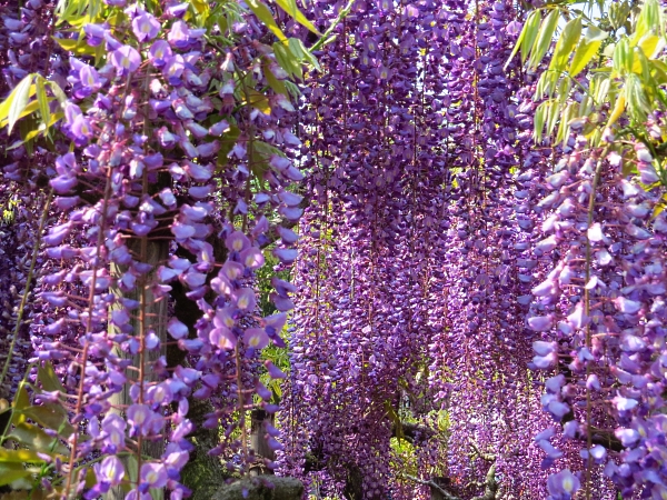 f0033598_16575818.jpg
