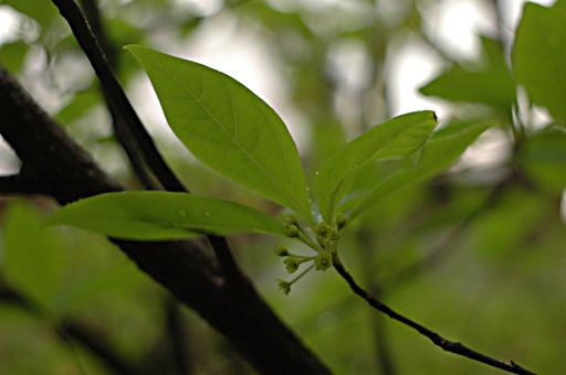 a0061599_80868.jpg