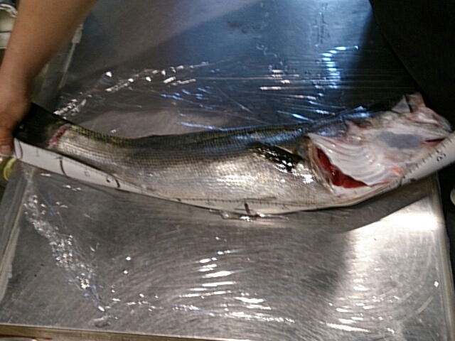 a0216805_09170014.jpg