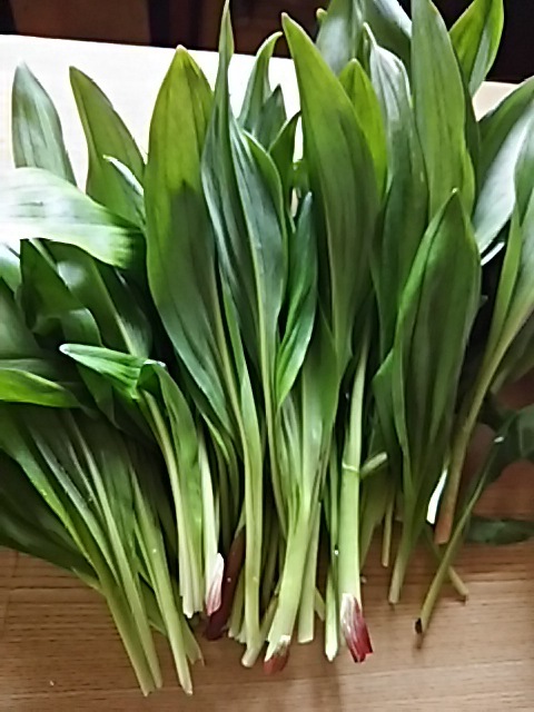 f0316507_20542718.jpg