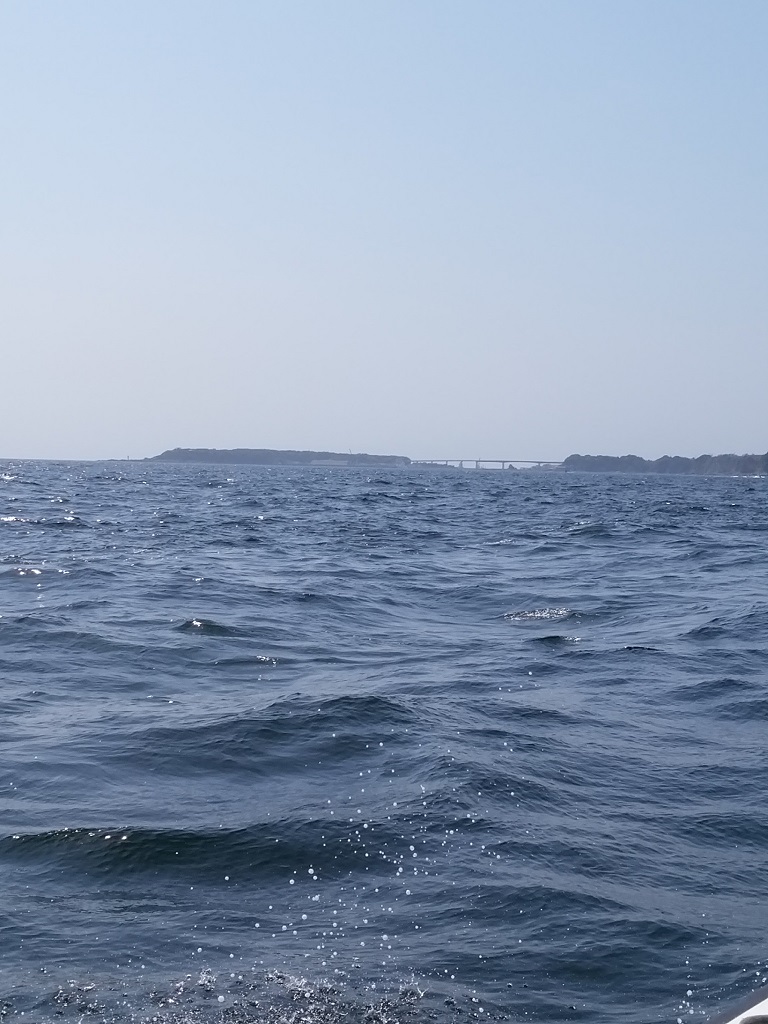 e0125217_13595447.jpg