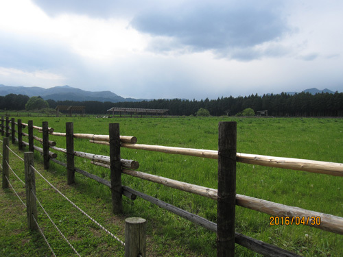 e0244621_11440469.jpg
