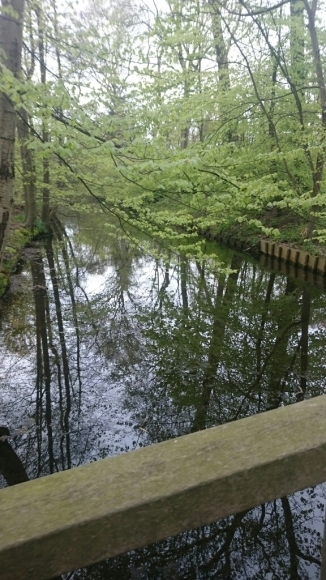 b0305124_04440013.jpg