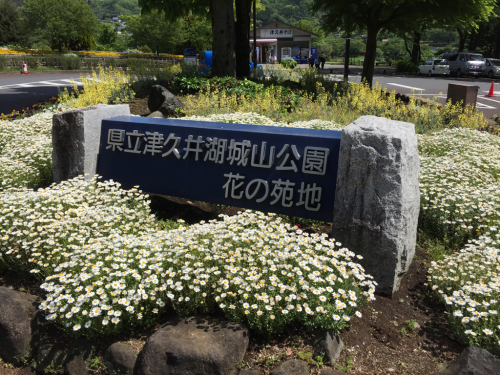 a0337029_13213431.jpg