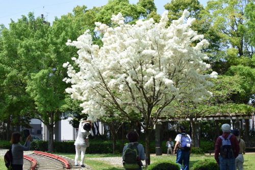b0312230_08595937.jpg