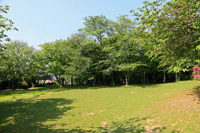 a0242438_2012937.jpg