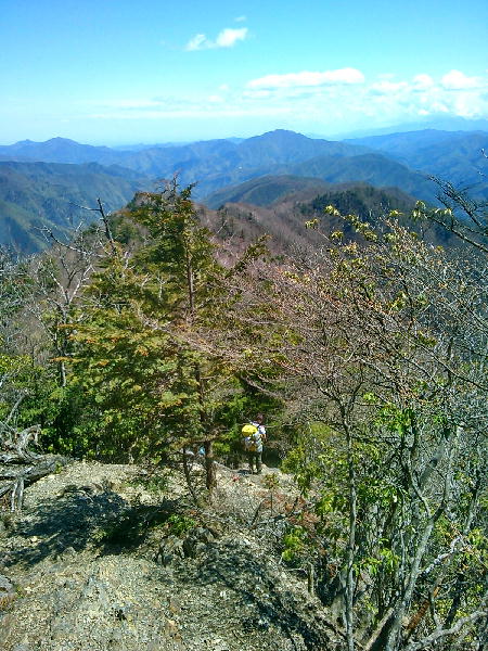 d0107938_1455686.jpg