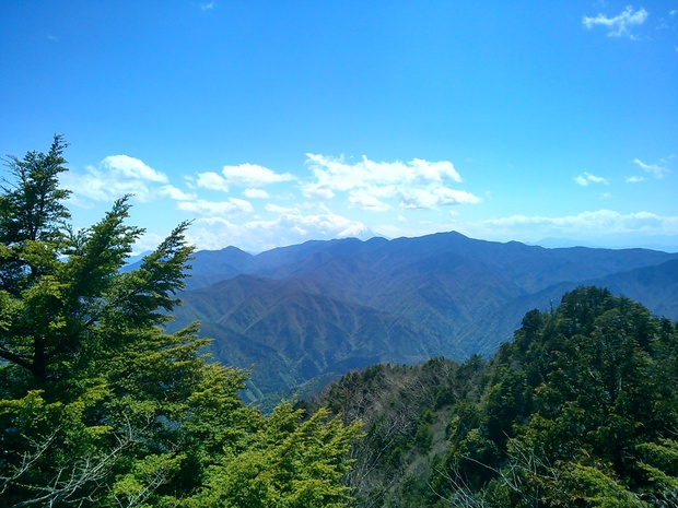 d0107938_14796.jpg