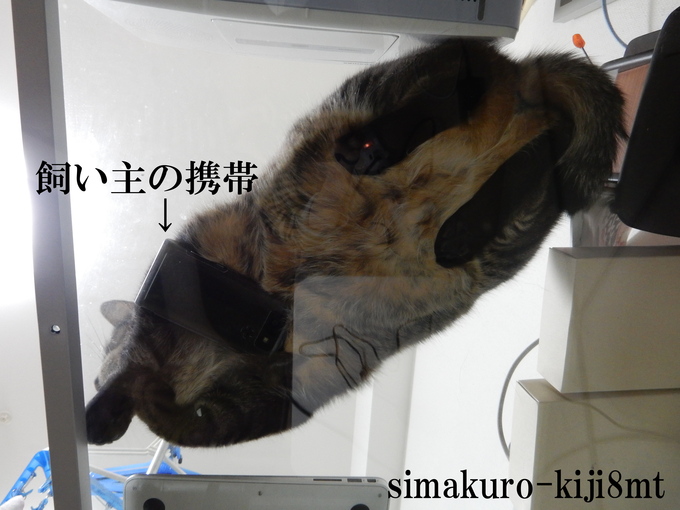 f0247039_12114884.jpg