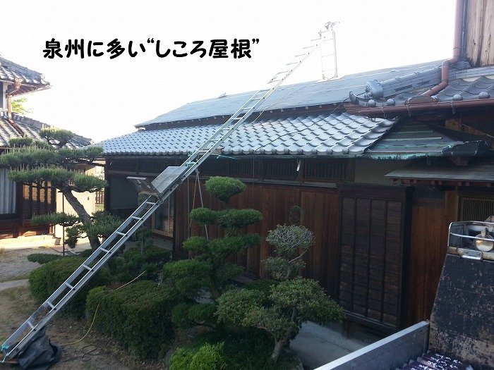 b0168041_12532398.jpg