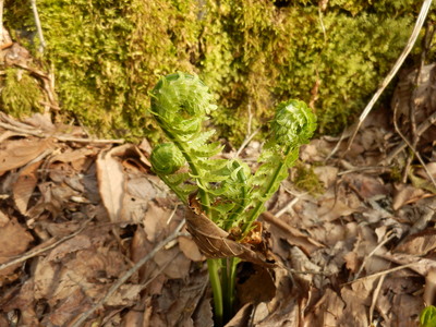 b0126549_1716537.jpg