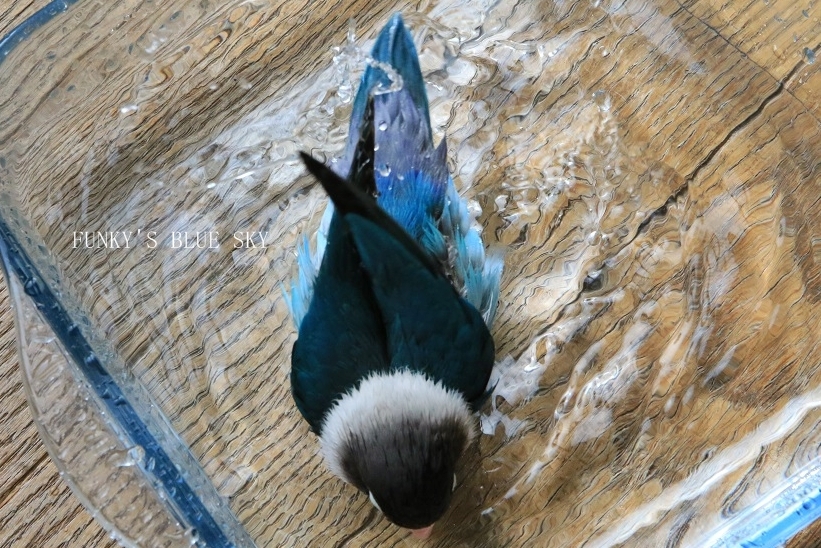 c0145250_10352279.jpg