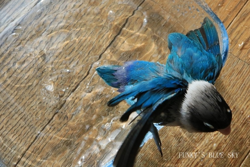c0145250_10355720.jpg
