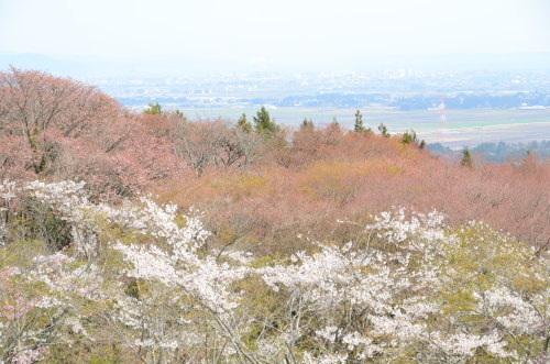 e0340050_11091459.jpg