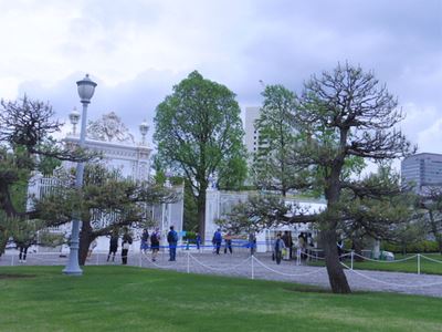b0220251_817468.jpg